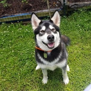 Meet your Posher, Berkeley.